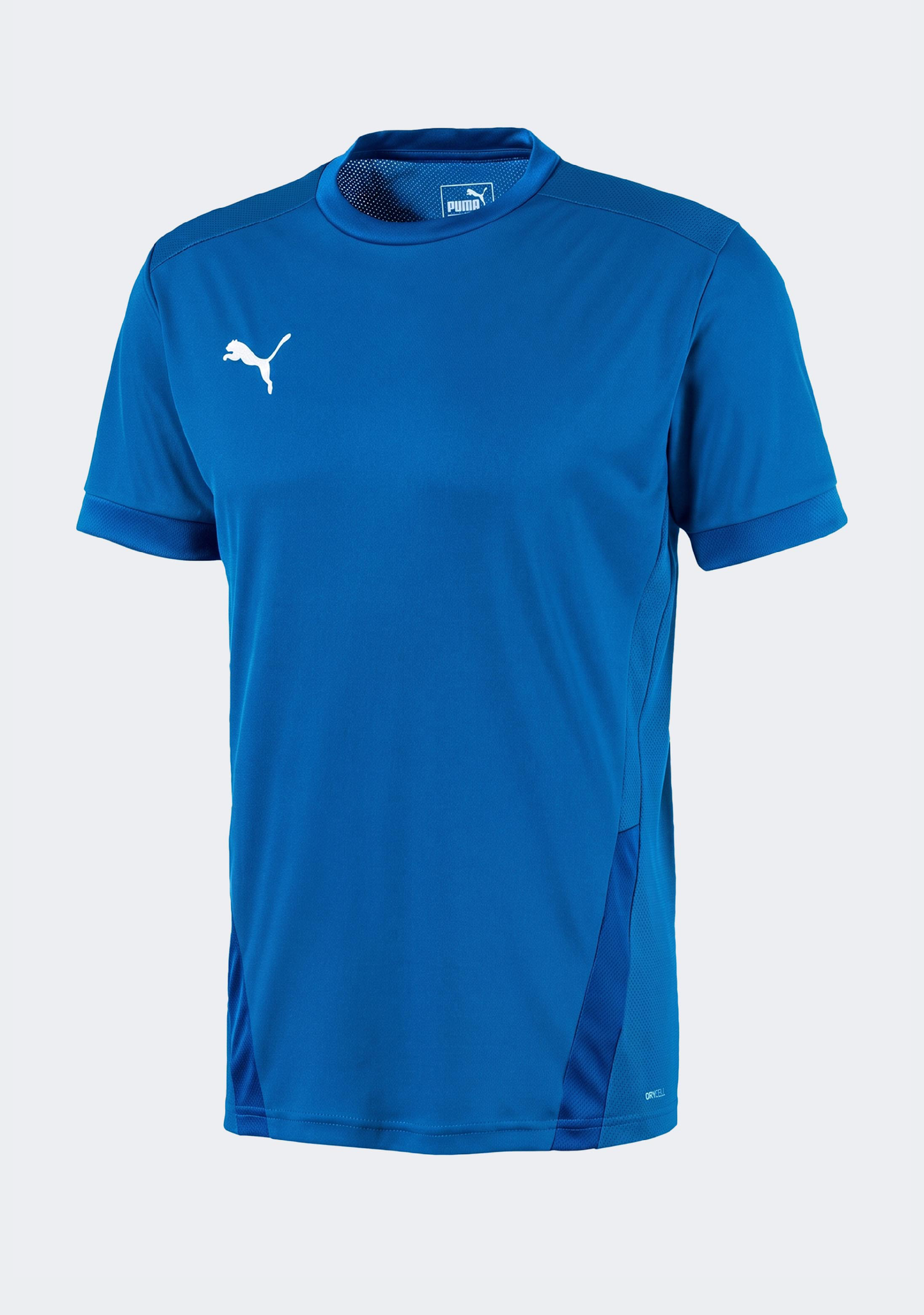 Puma Kids' TeamGOAL 23 Jersey