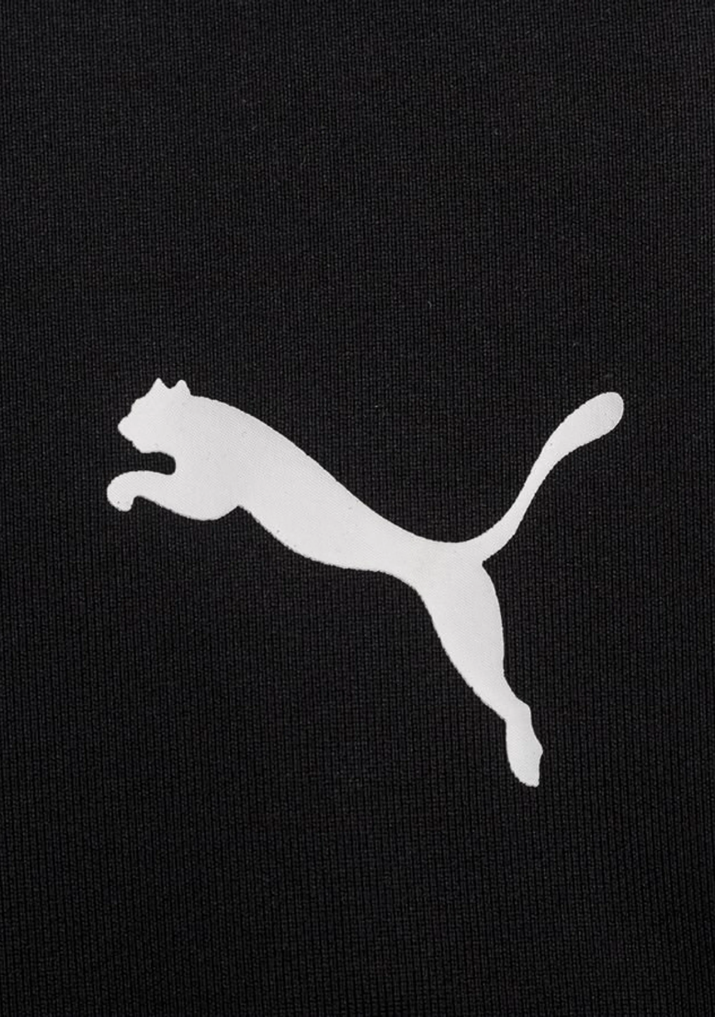 Puma Women's Liga Training Pants