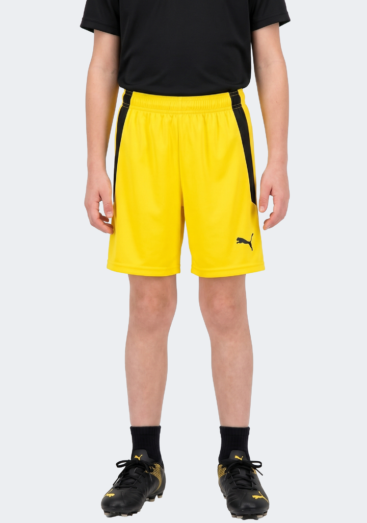 Puma Kids' TeamLIGA Shorts