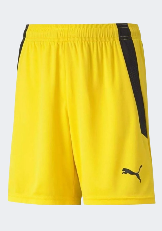 Puma Kids' TeamLIGA Shorts
