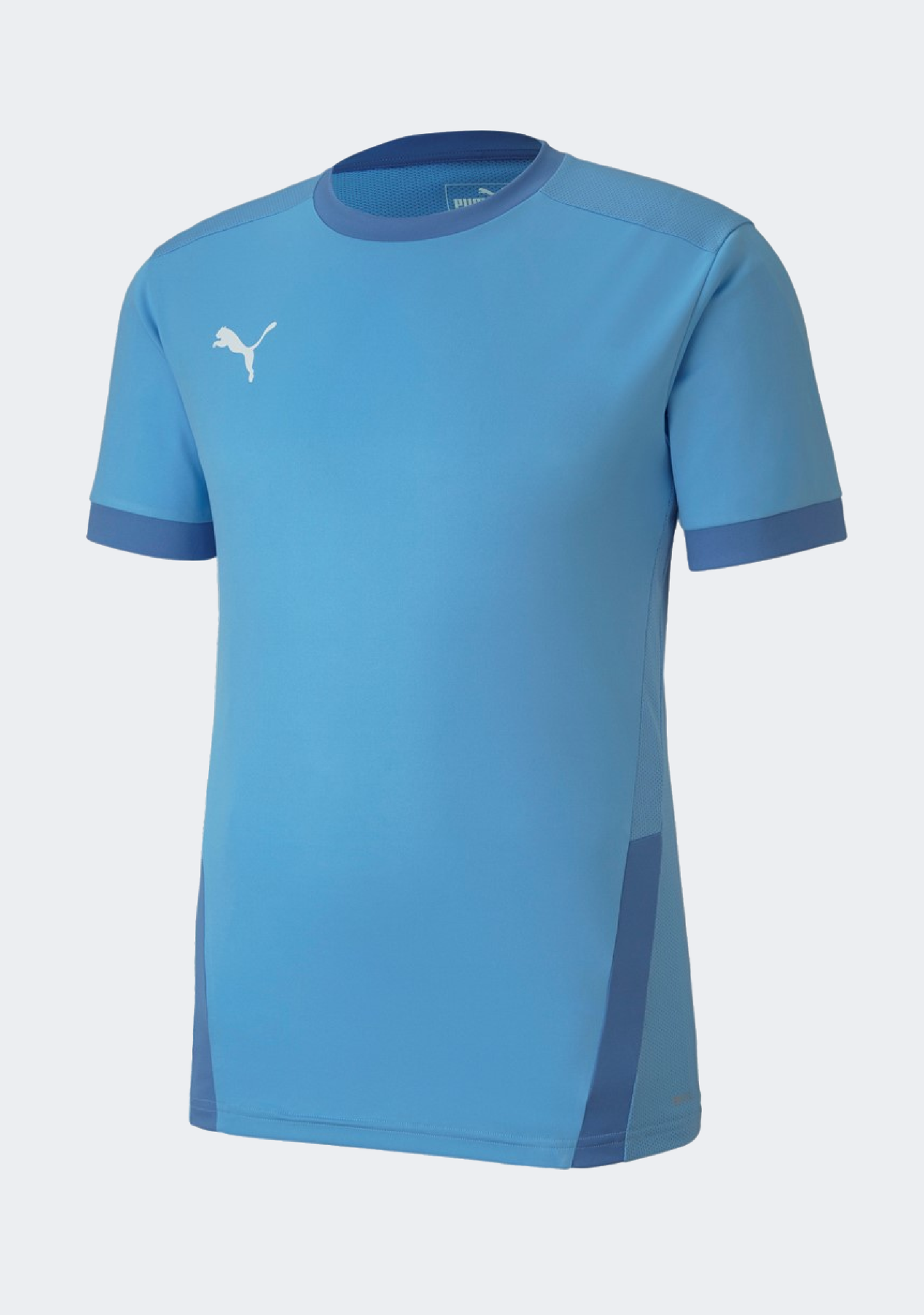 Puma Men's TeamGOAL 23 Jersey