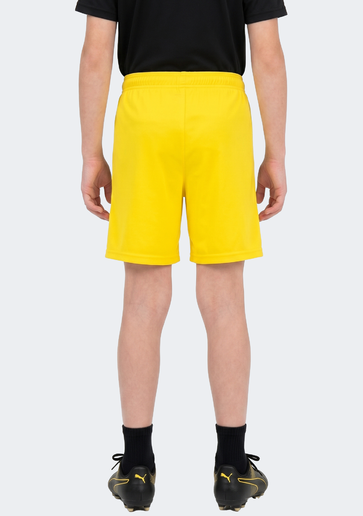Puma Kids' TeamLIGA Shorts