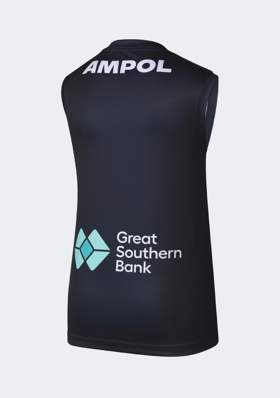 Puma Kids' Carlton Blues 2026 Home Guernsey