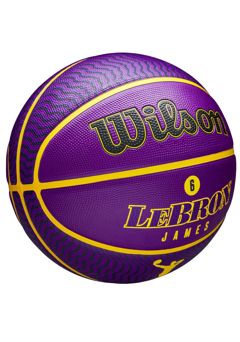 Wilson NBA Player Icon Lebron Basketball Size 7 WZ4005901XB7 Jim