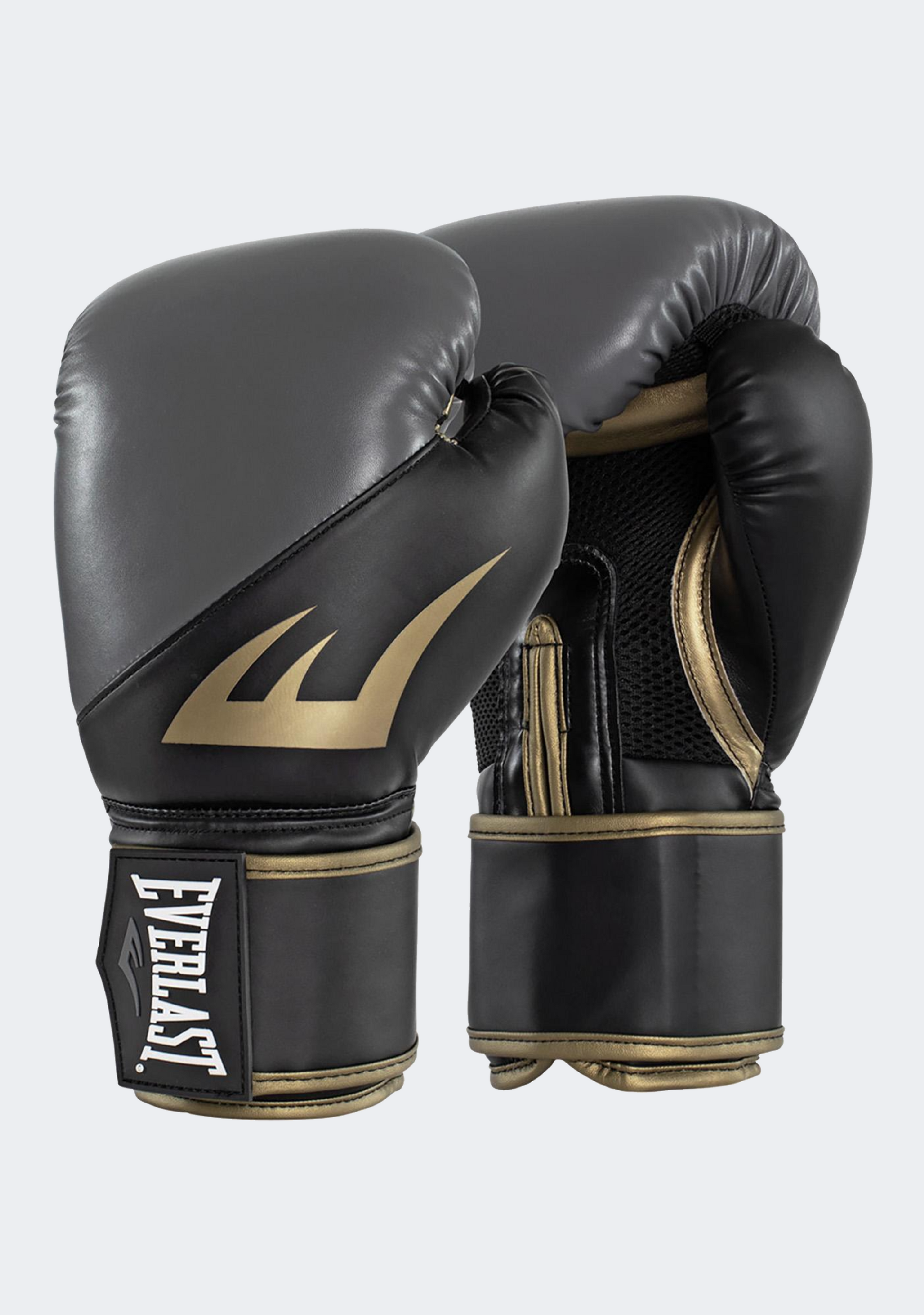 Everlast Ex Boxing Gloves