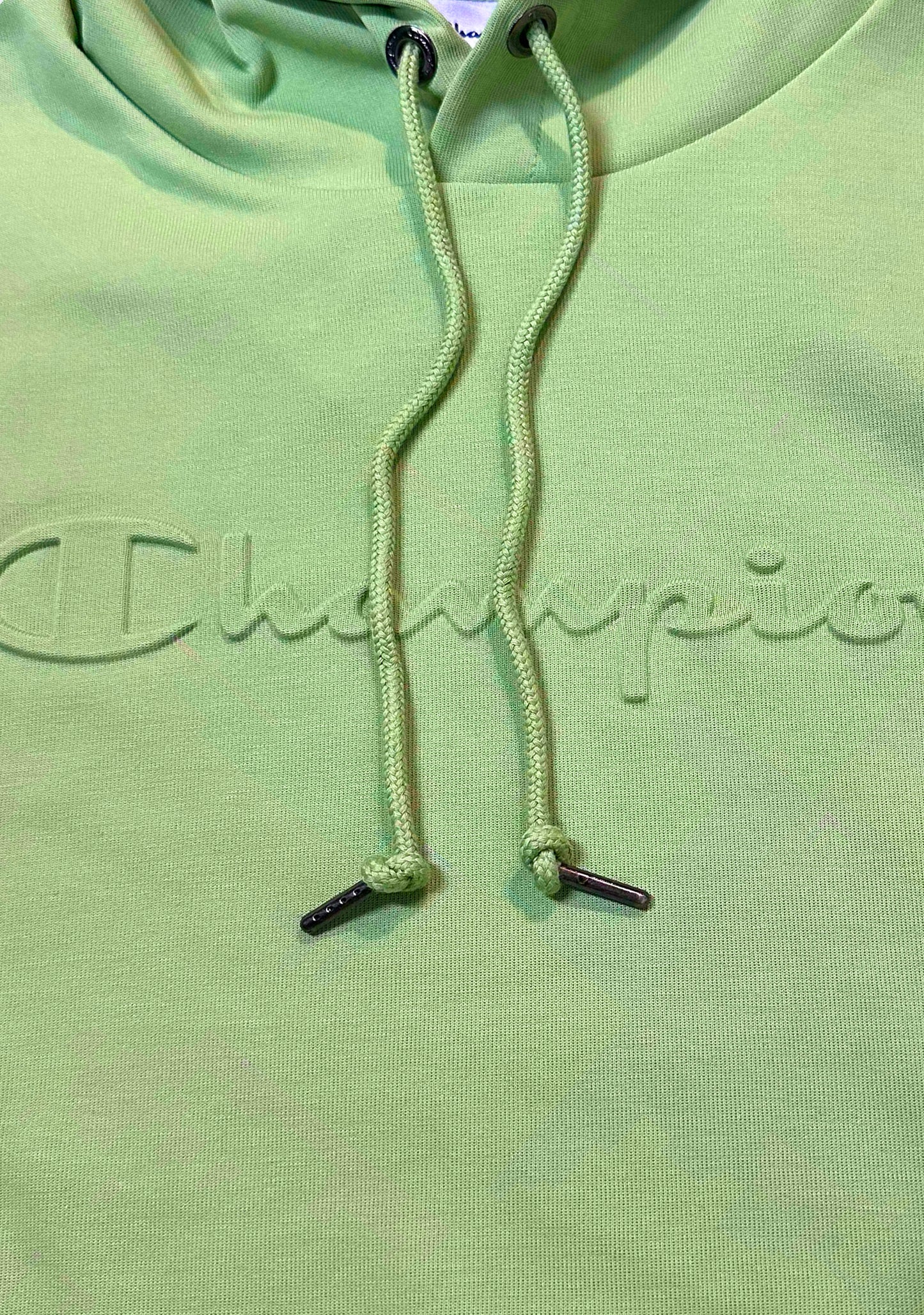 Champion Men's Rochester Tech Hoodie