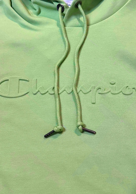 Champion Men's Rochester Tech Hoodie