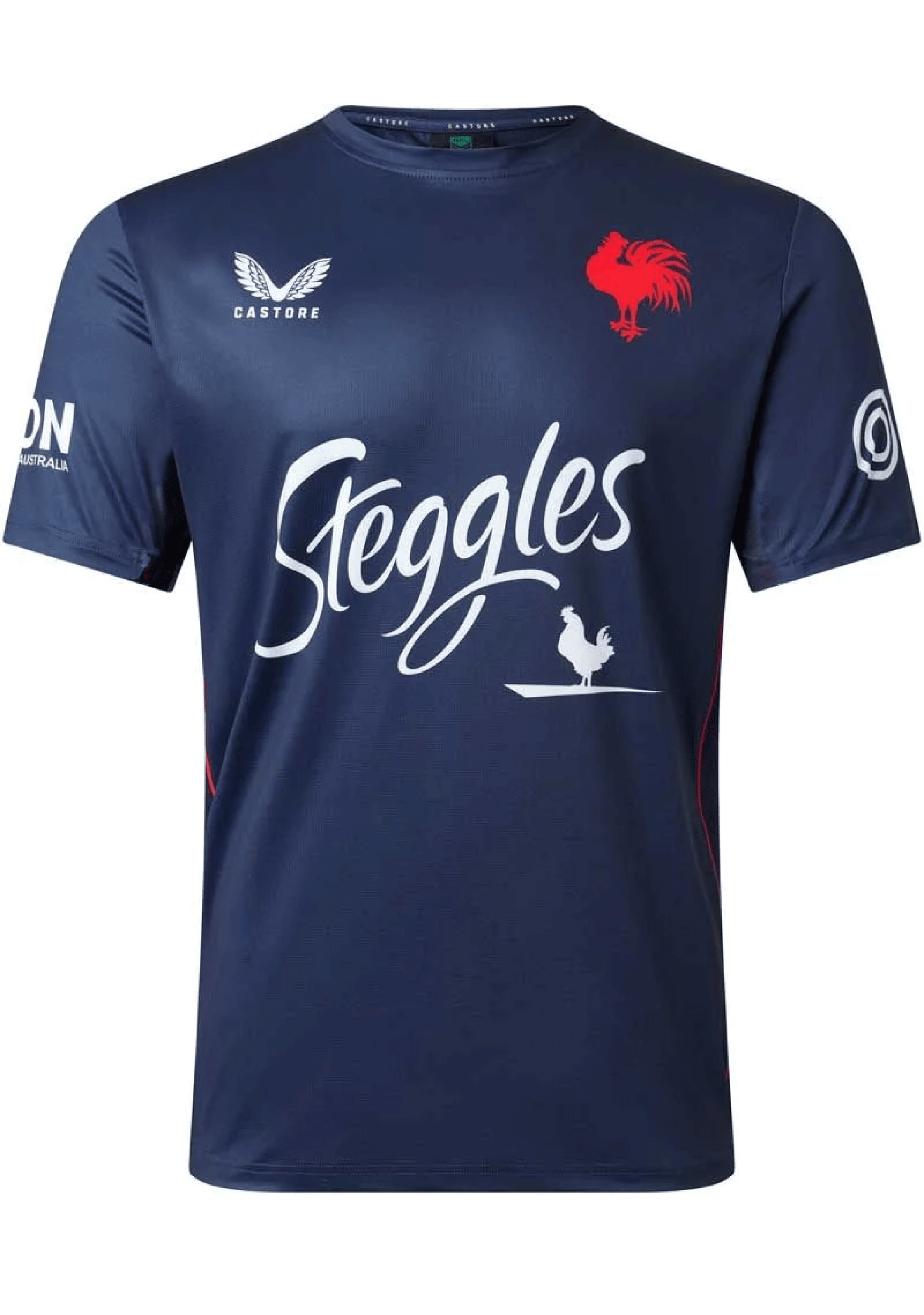 Castore Youth Rooster Training Tee <BR> JCSRTRSSTK