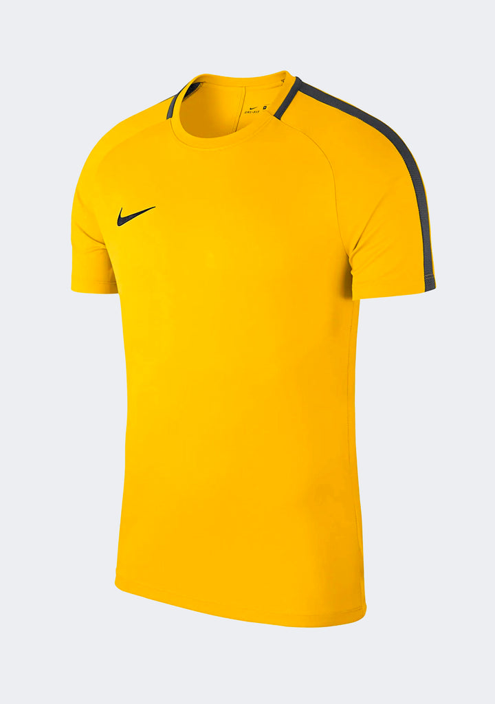 Nike Men's Academy 18 S/S Top