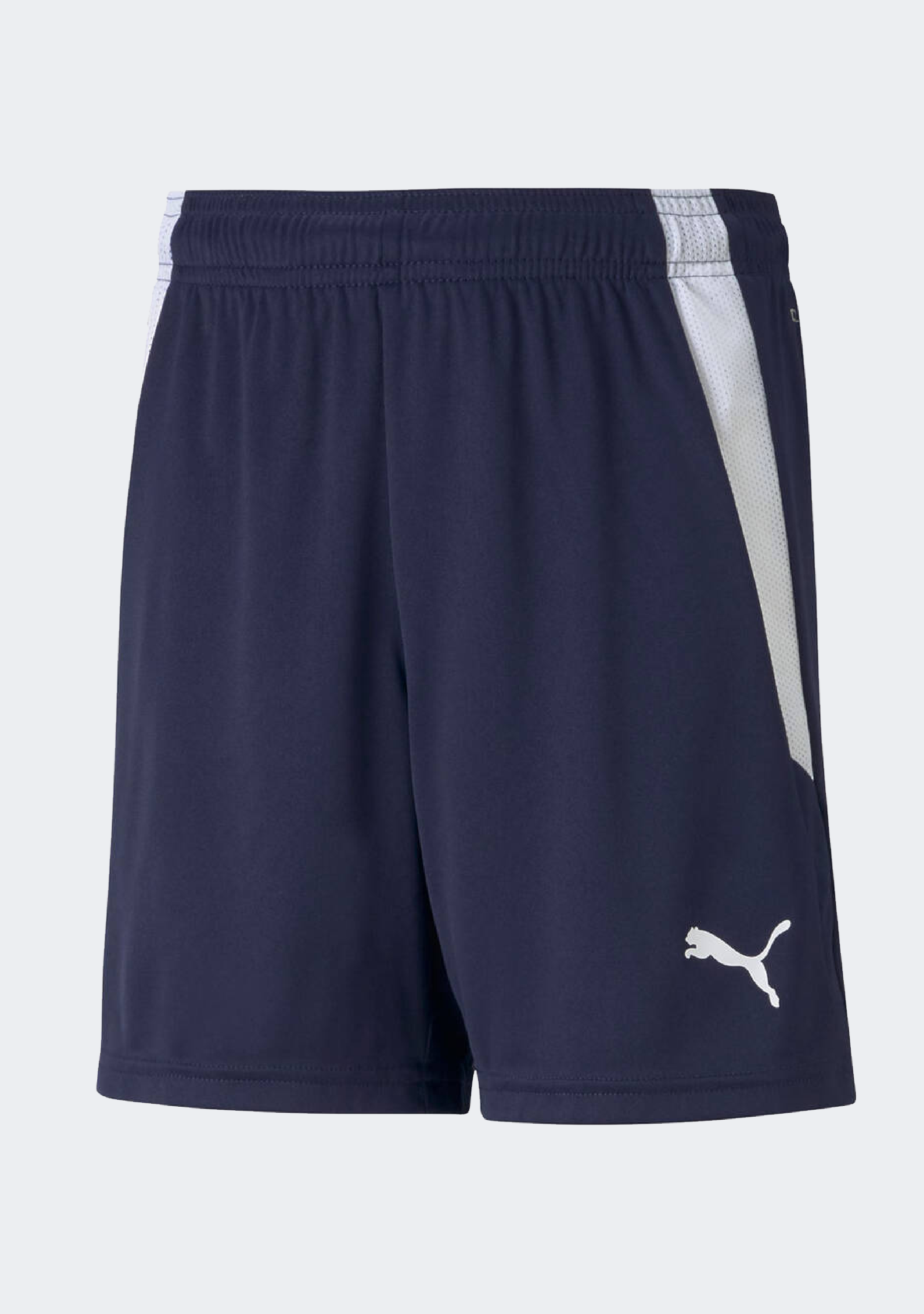 Puma Kids' Team Liga Shorts