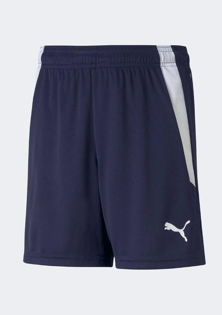 Puma Kids' Team Liga Shorts