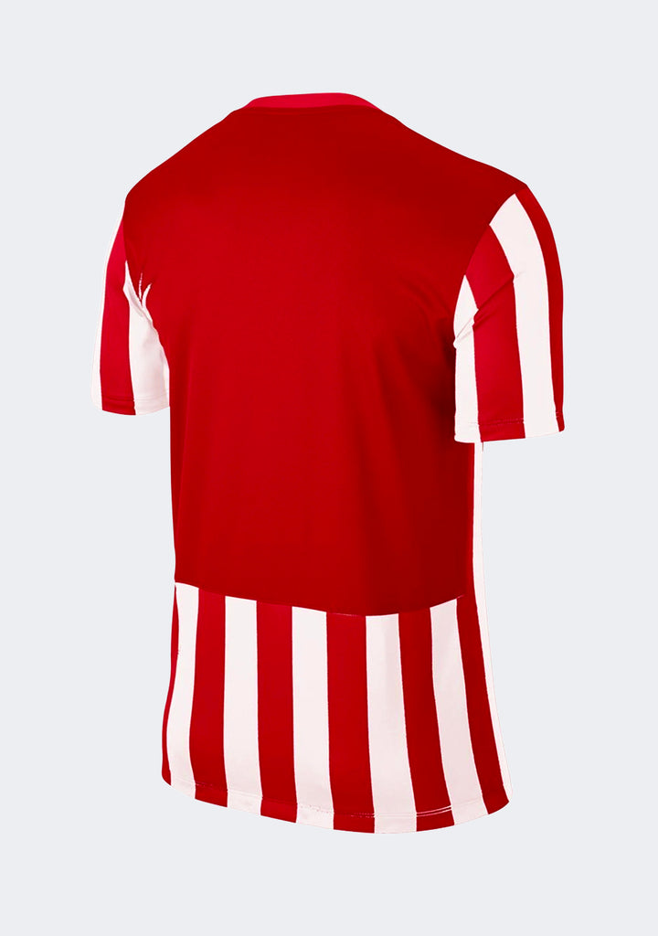 Nike Boys' Inter IV Jersey