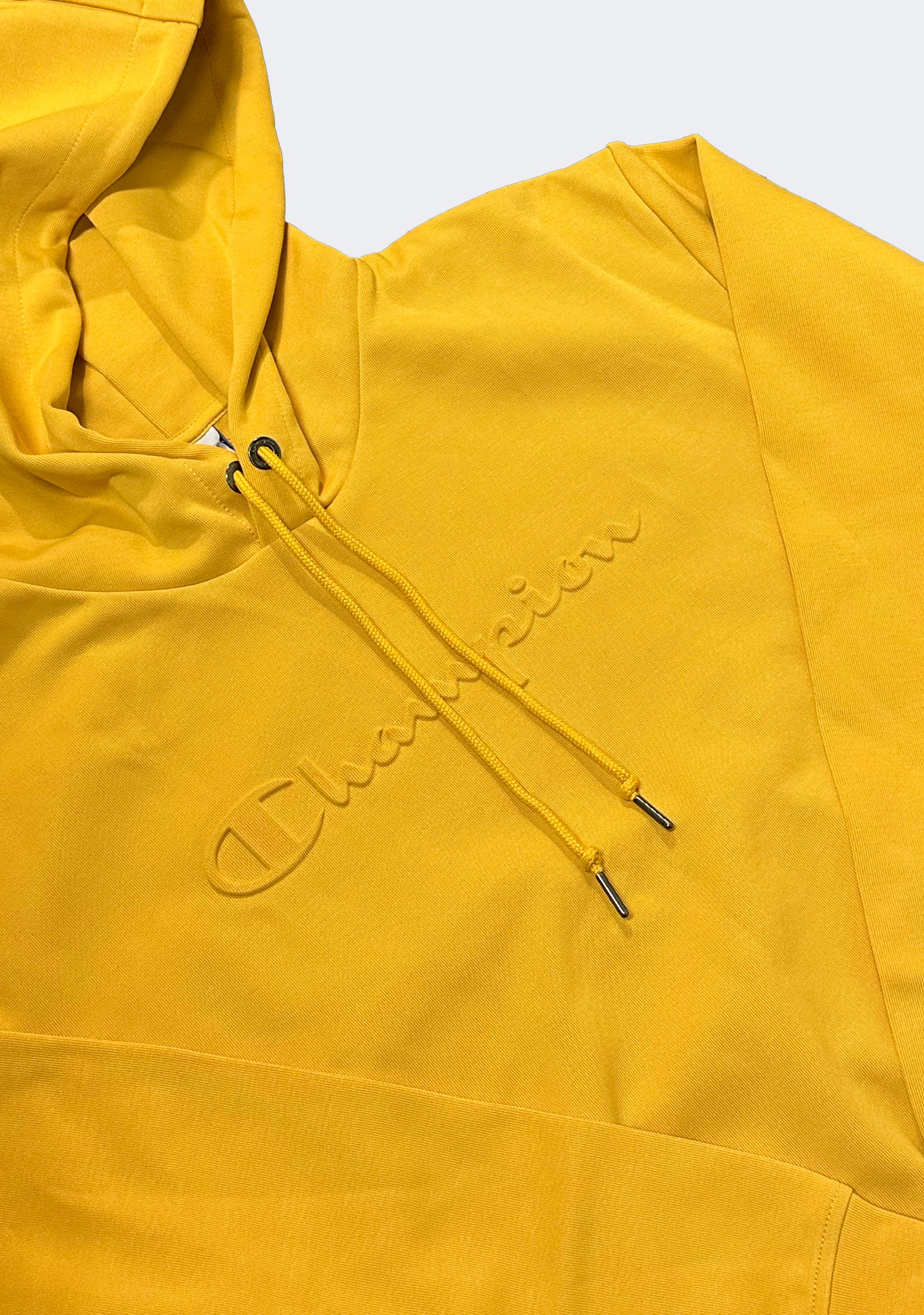 Champion Men's Rochester Tech Hoodie