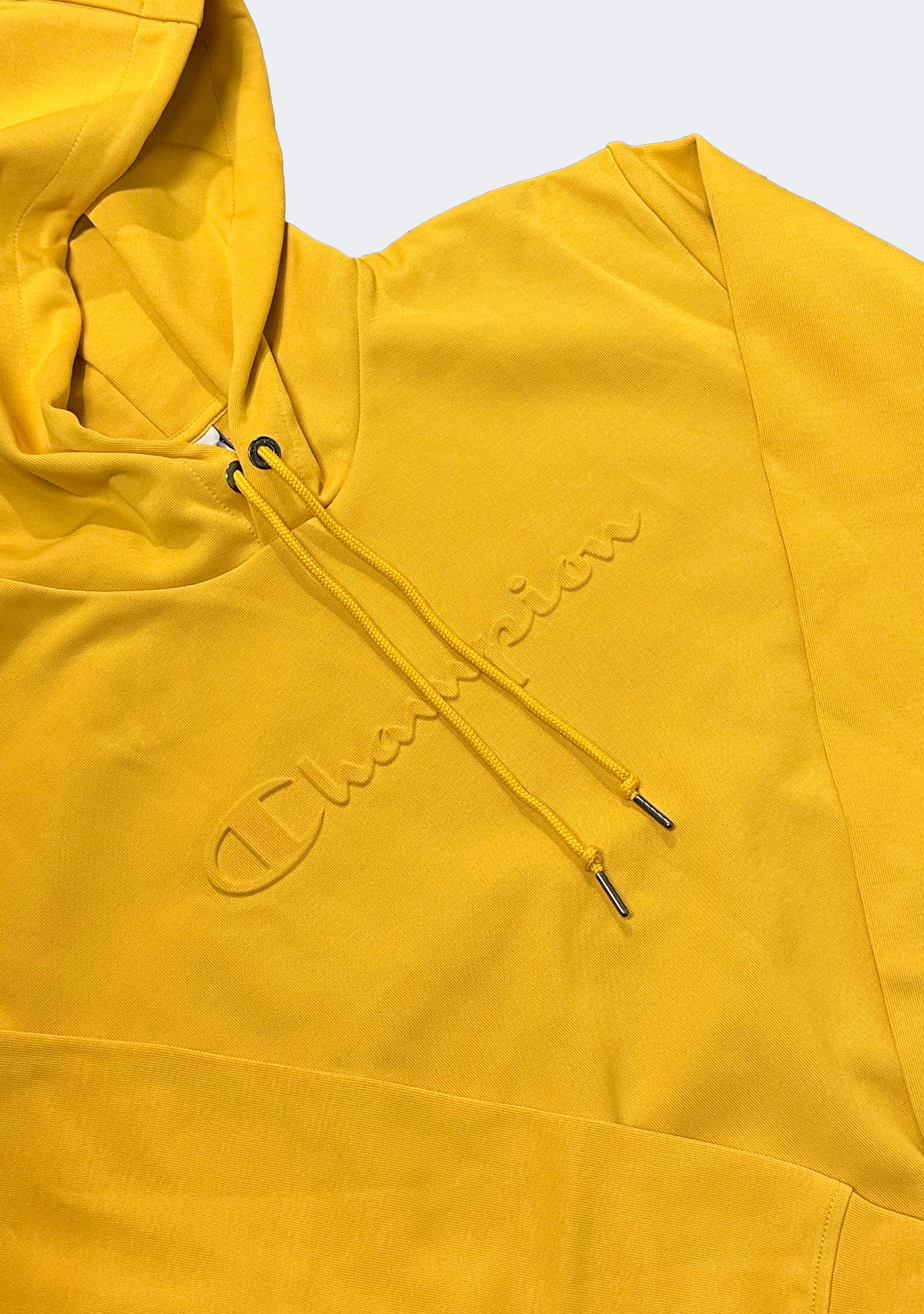 Champion Men's Rochester Tech Hoodie