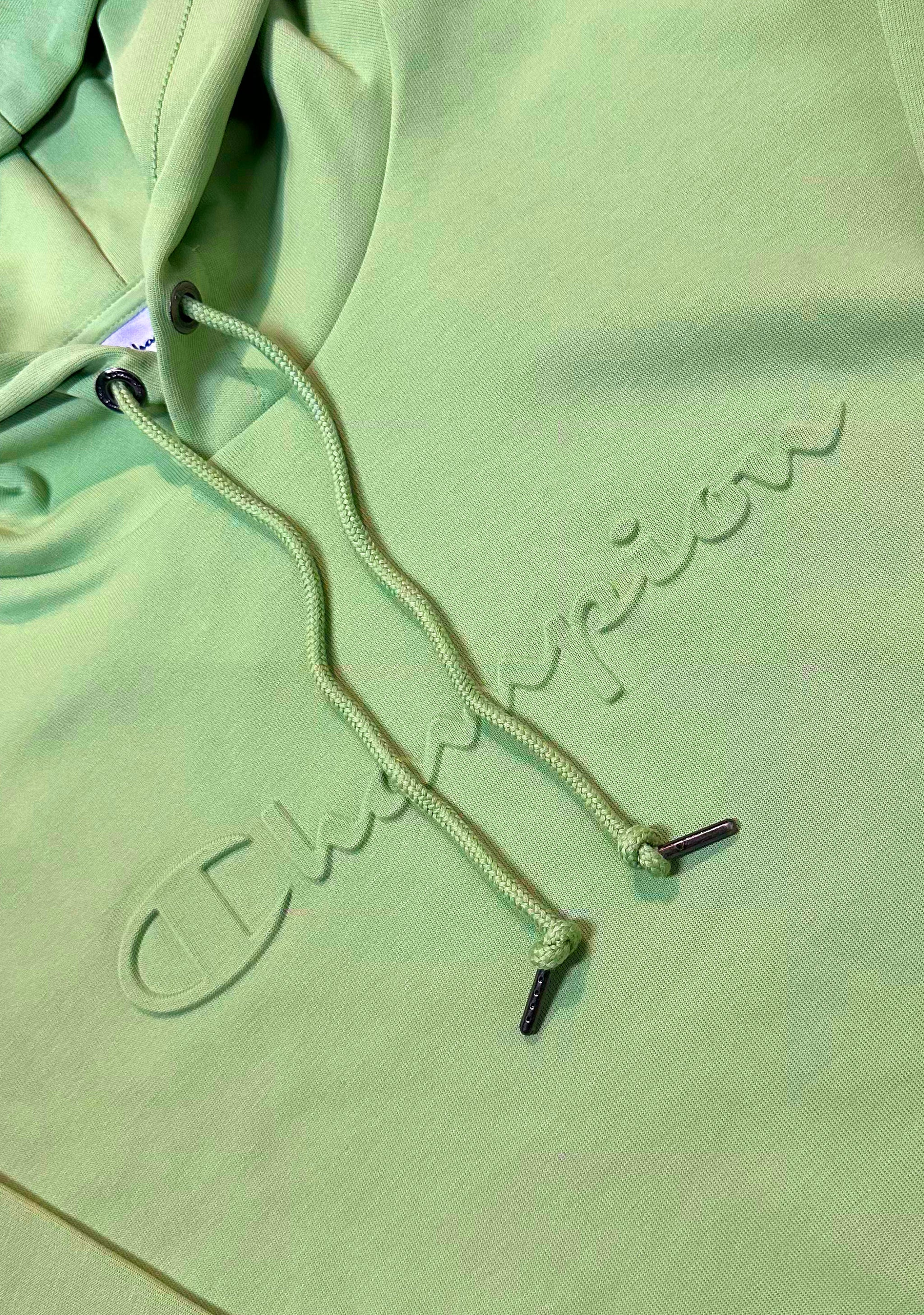 Champion Men's Rochester Tech Hoodie