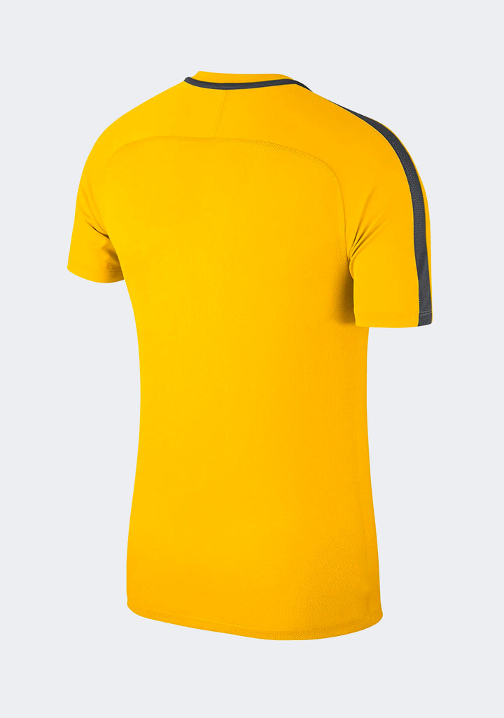 Nike Men's Academy 18 S/S Top