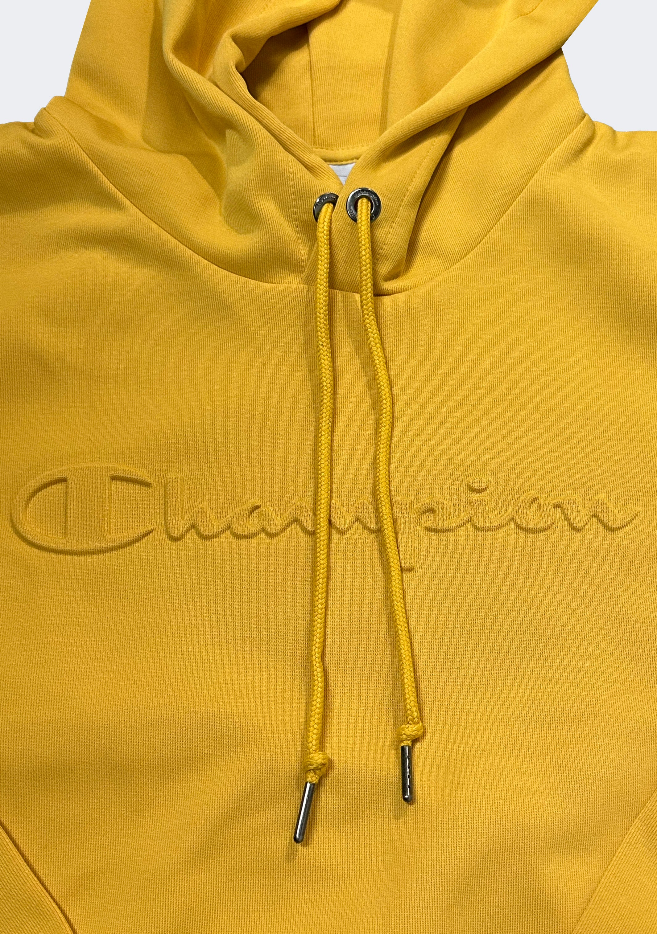 Champion Men's Rochester Tech Hoodie