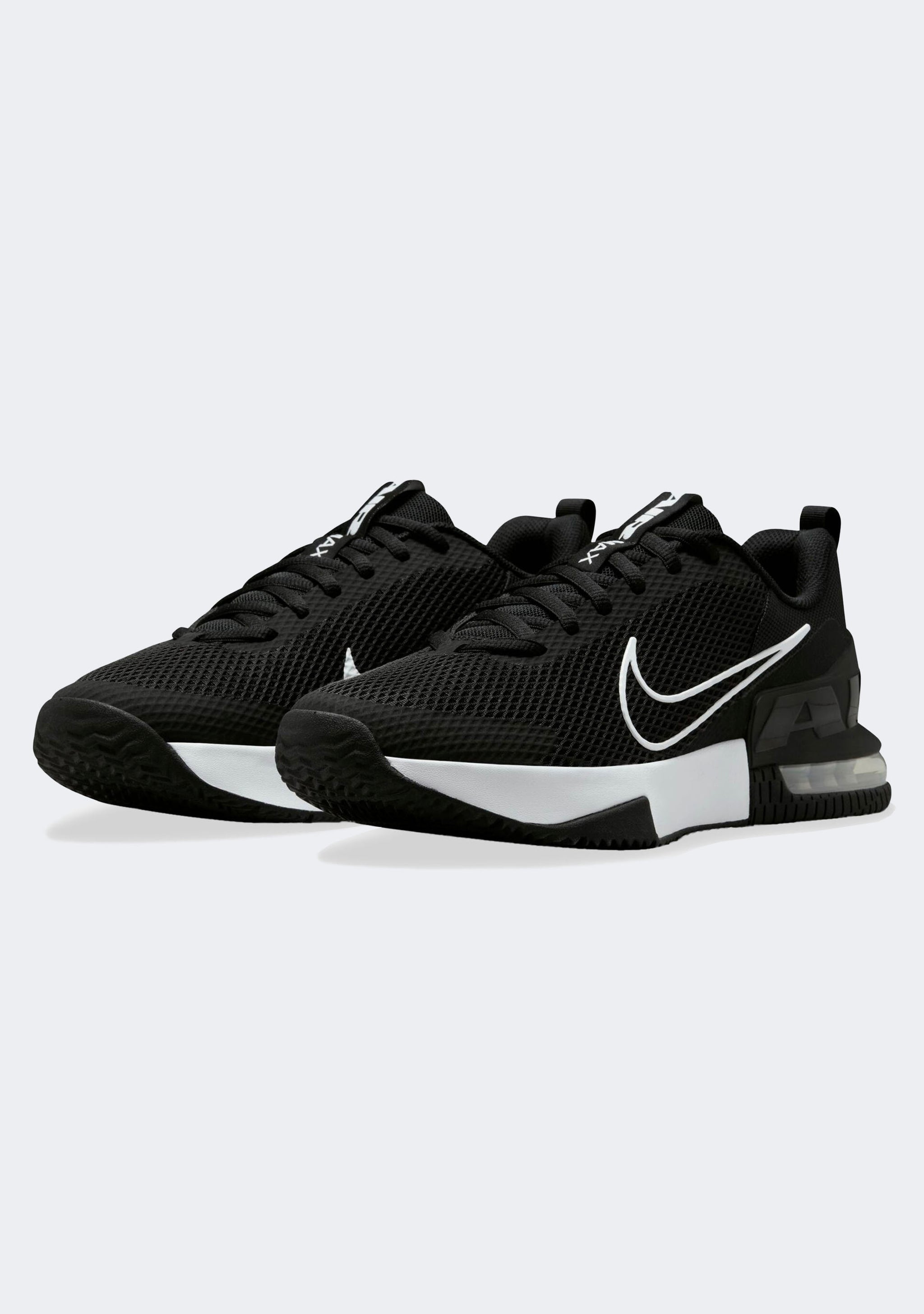 Nike Men’s Air Max Alpha Trainer 6