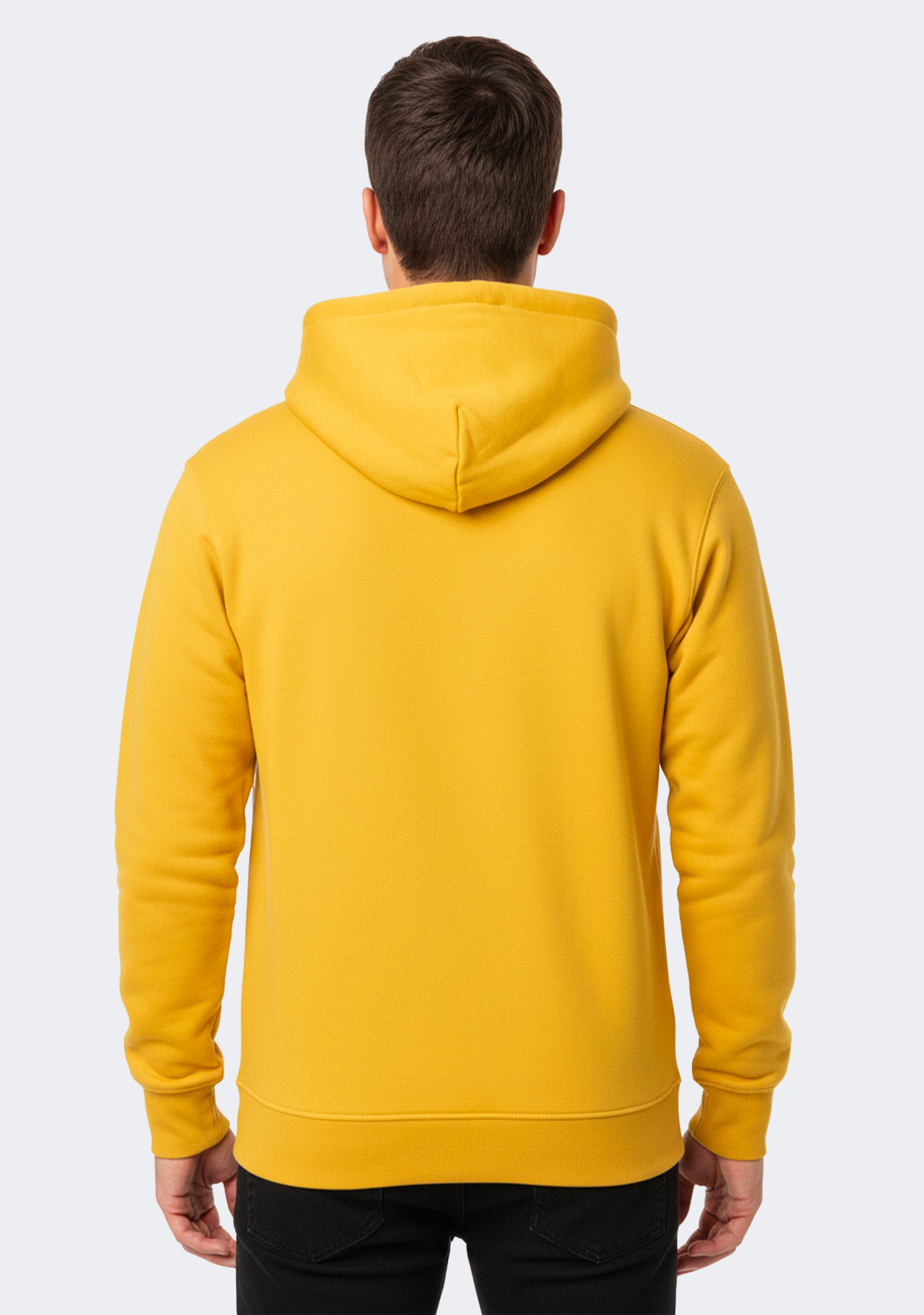 Champion Men's Rochester Tech Hoodie