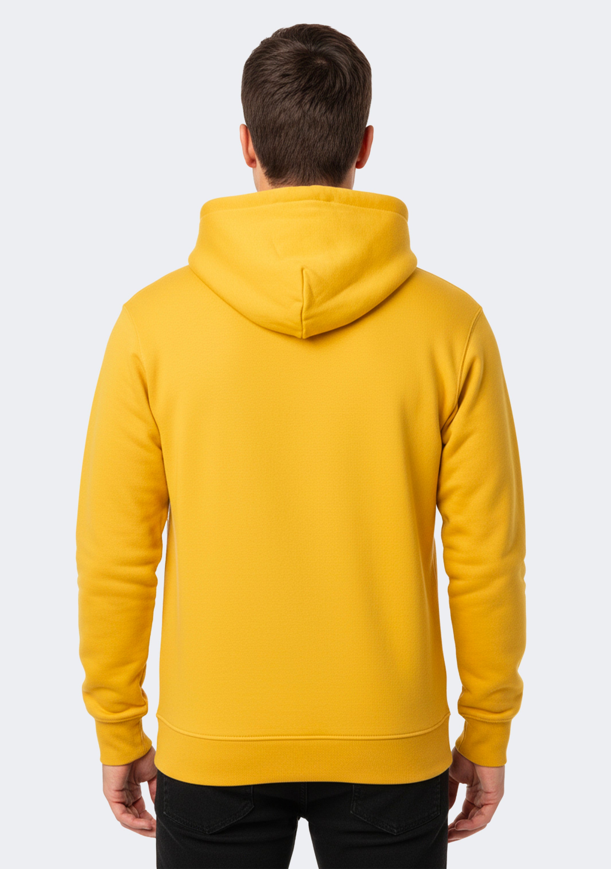 Champion Men's Rochester Tech Hoodie