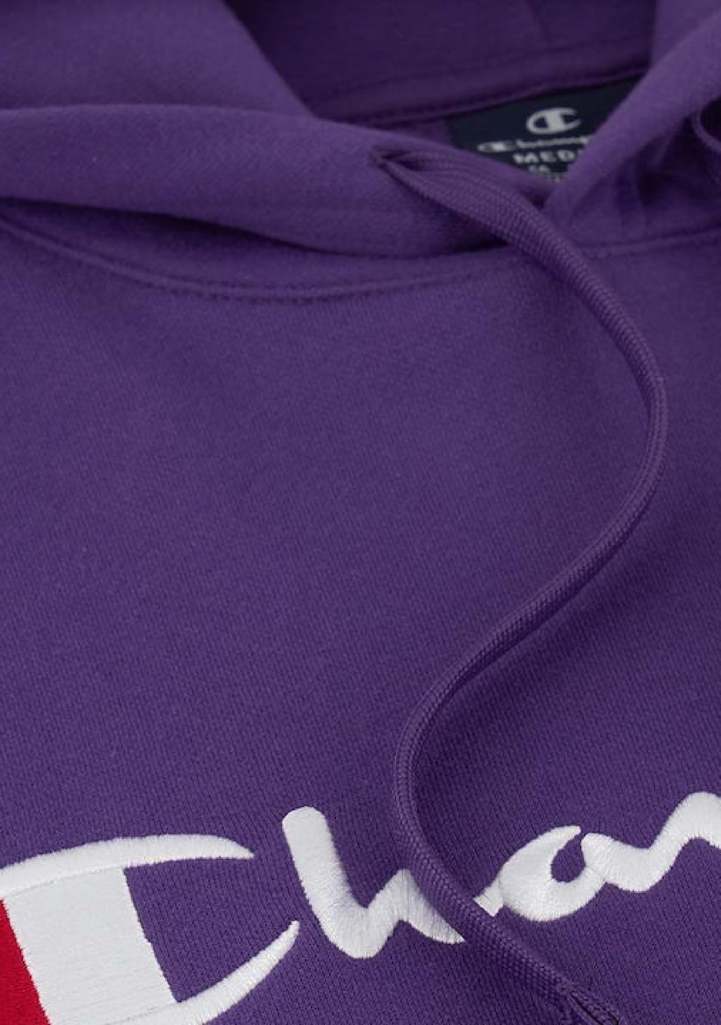 Champion Men’s Script Hoodie Astrology