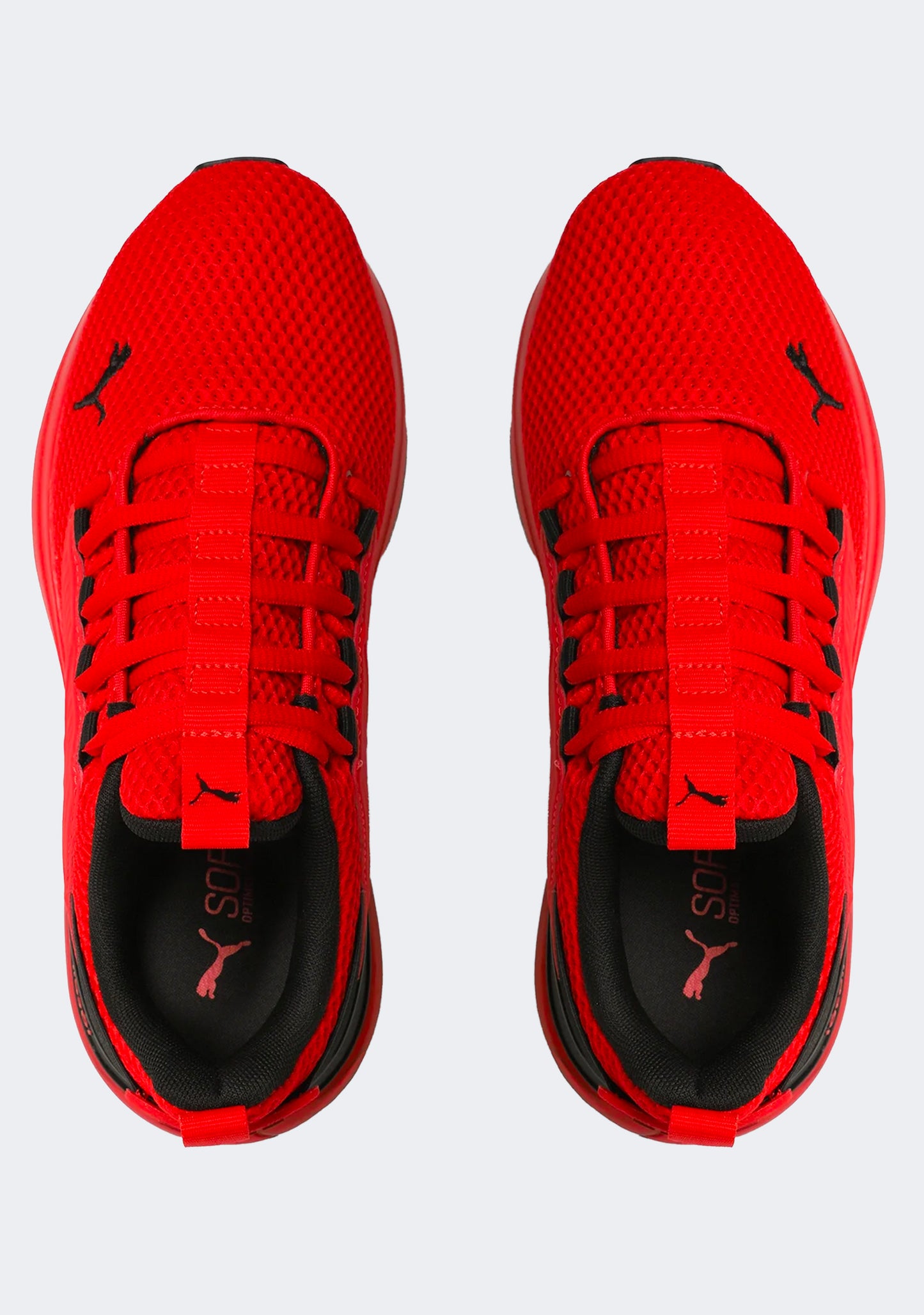 Puma Men's Cell Rapid