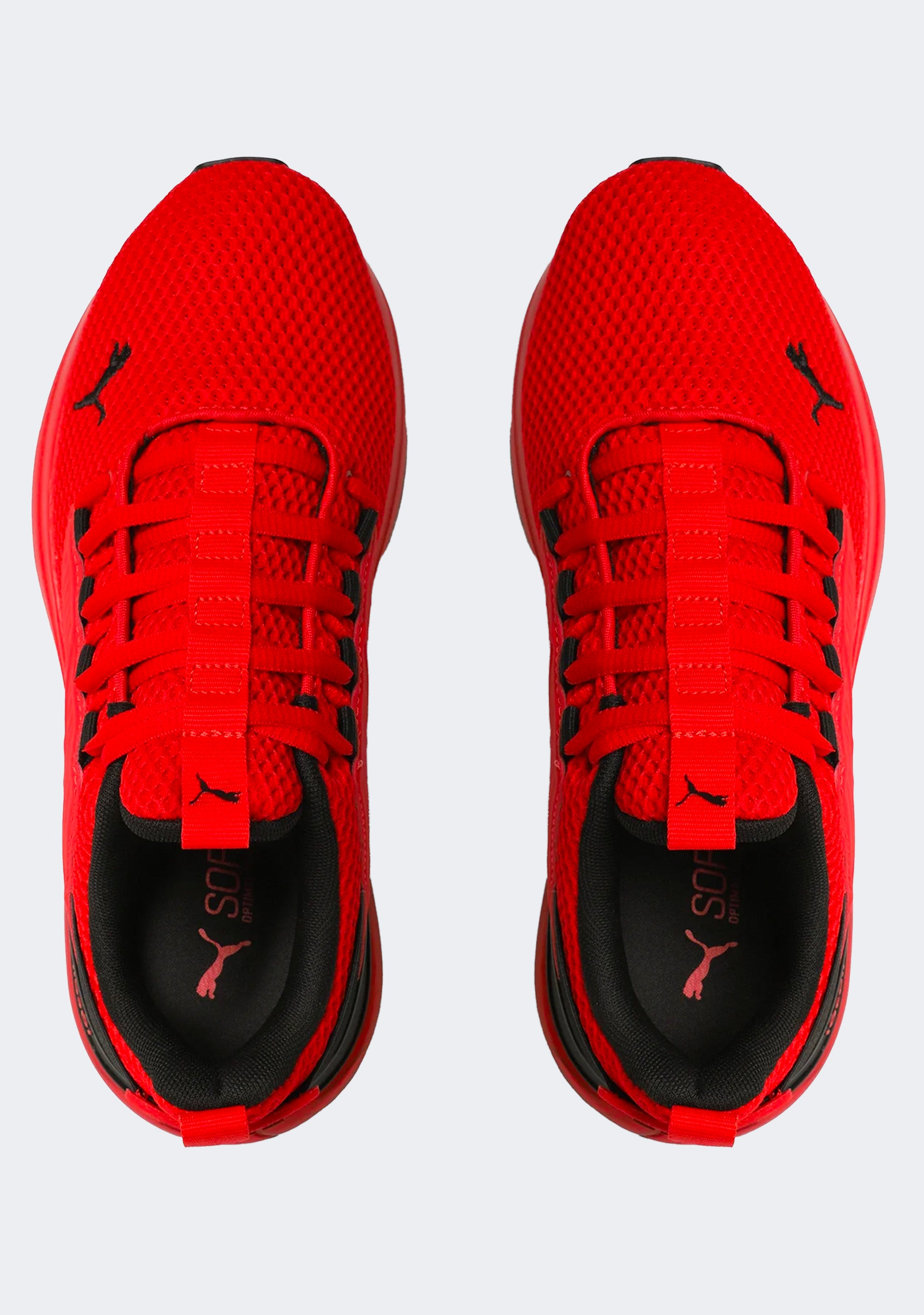 Puma Men's Cell Rapid