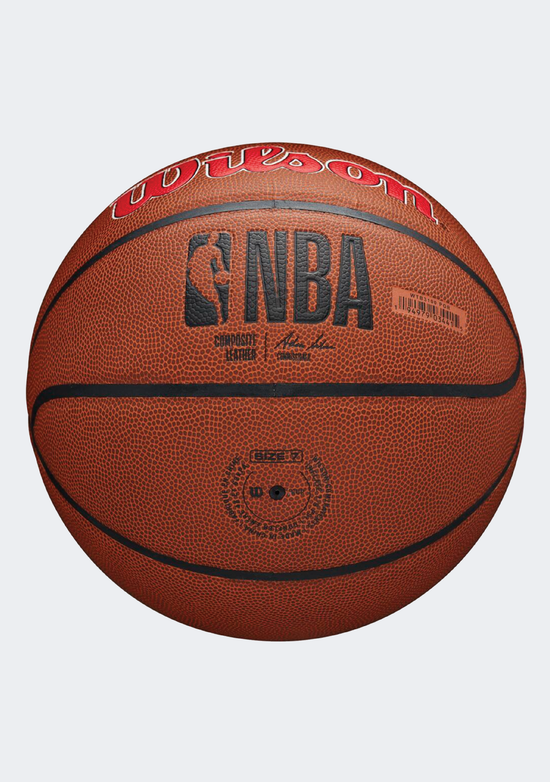 Wilson NBA Team Alliance Portland Trail Blazers