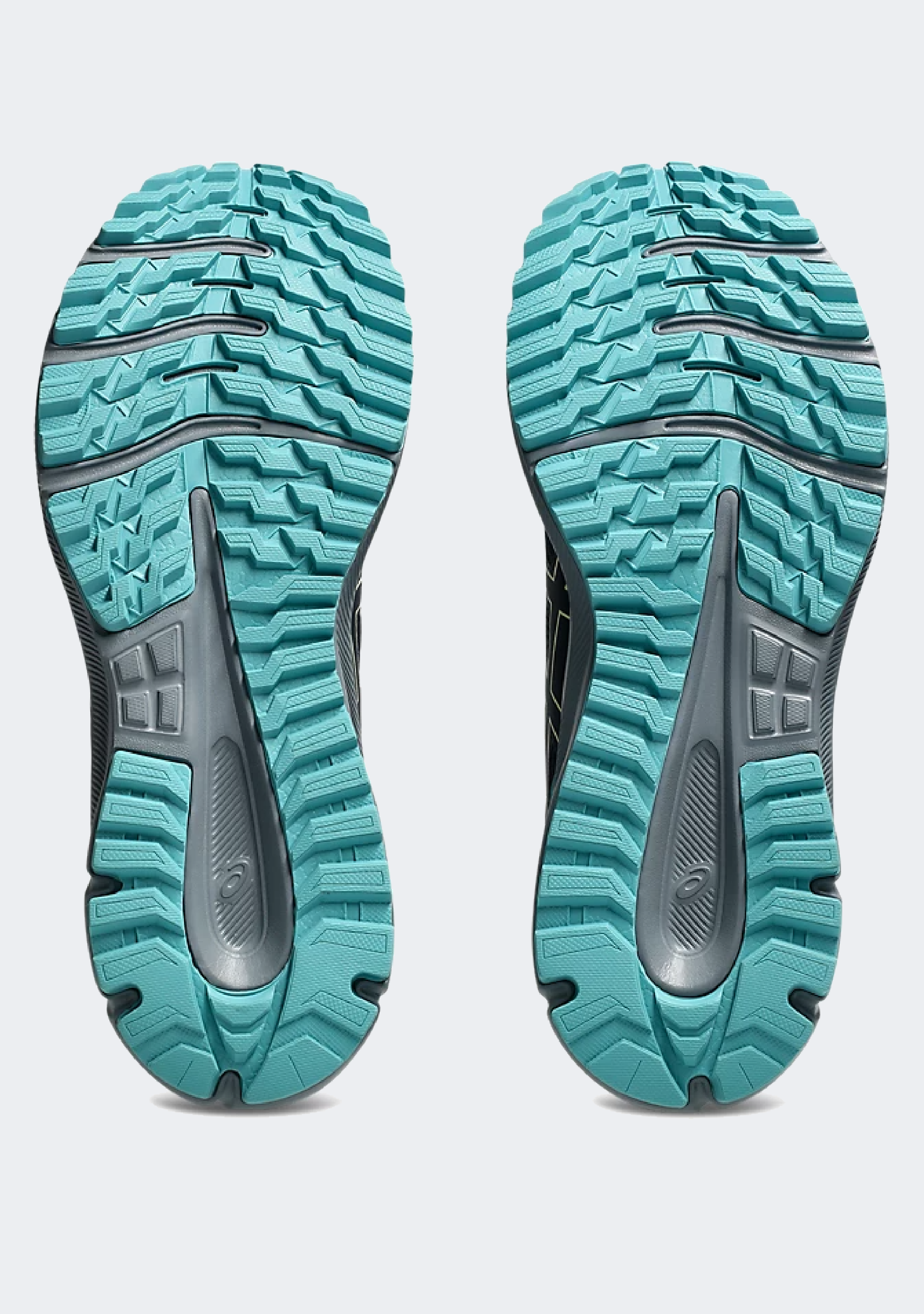 Asics Men's Trail Scout 3