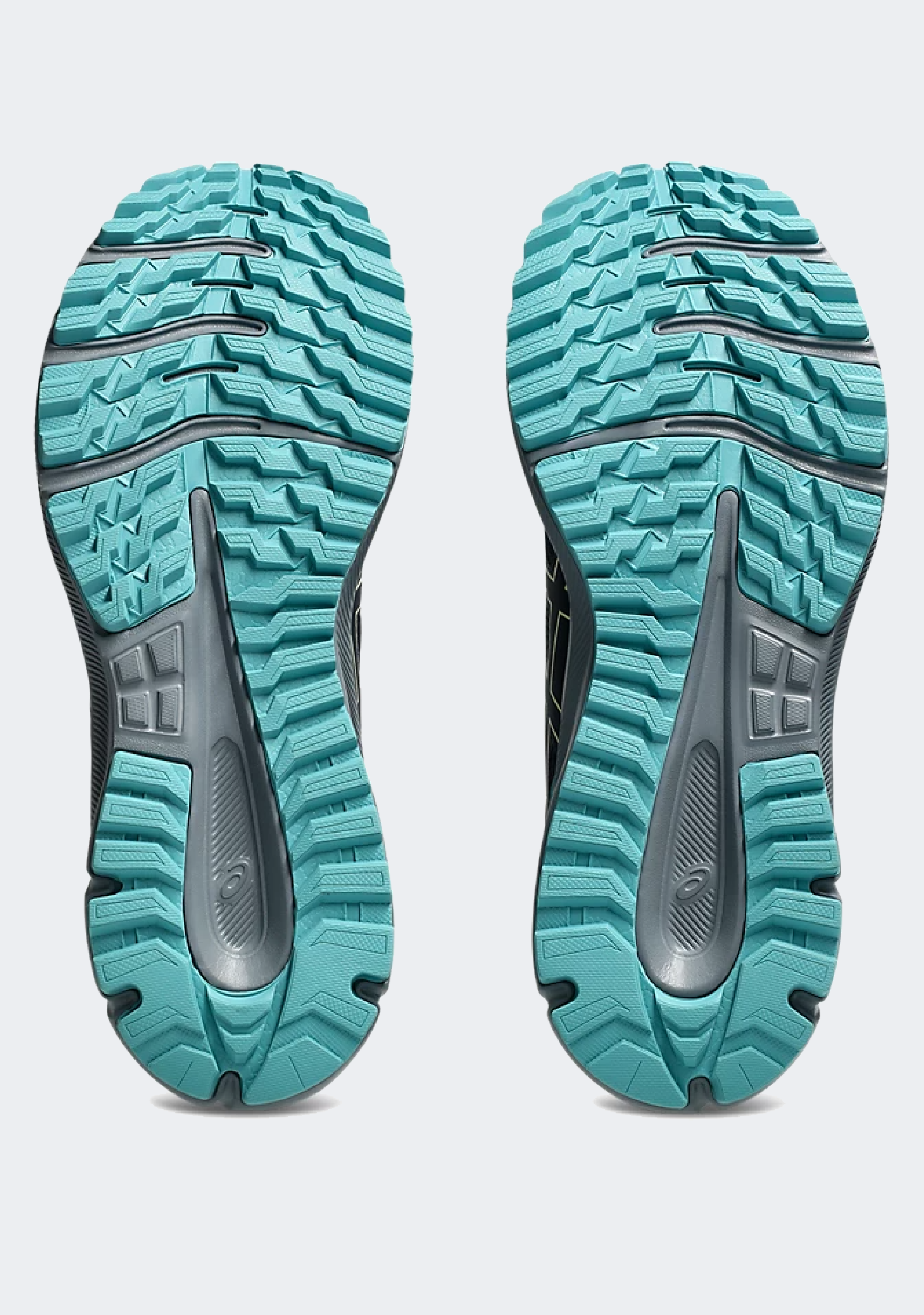 Asics Men's Trail Scout 3