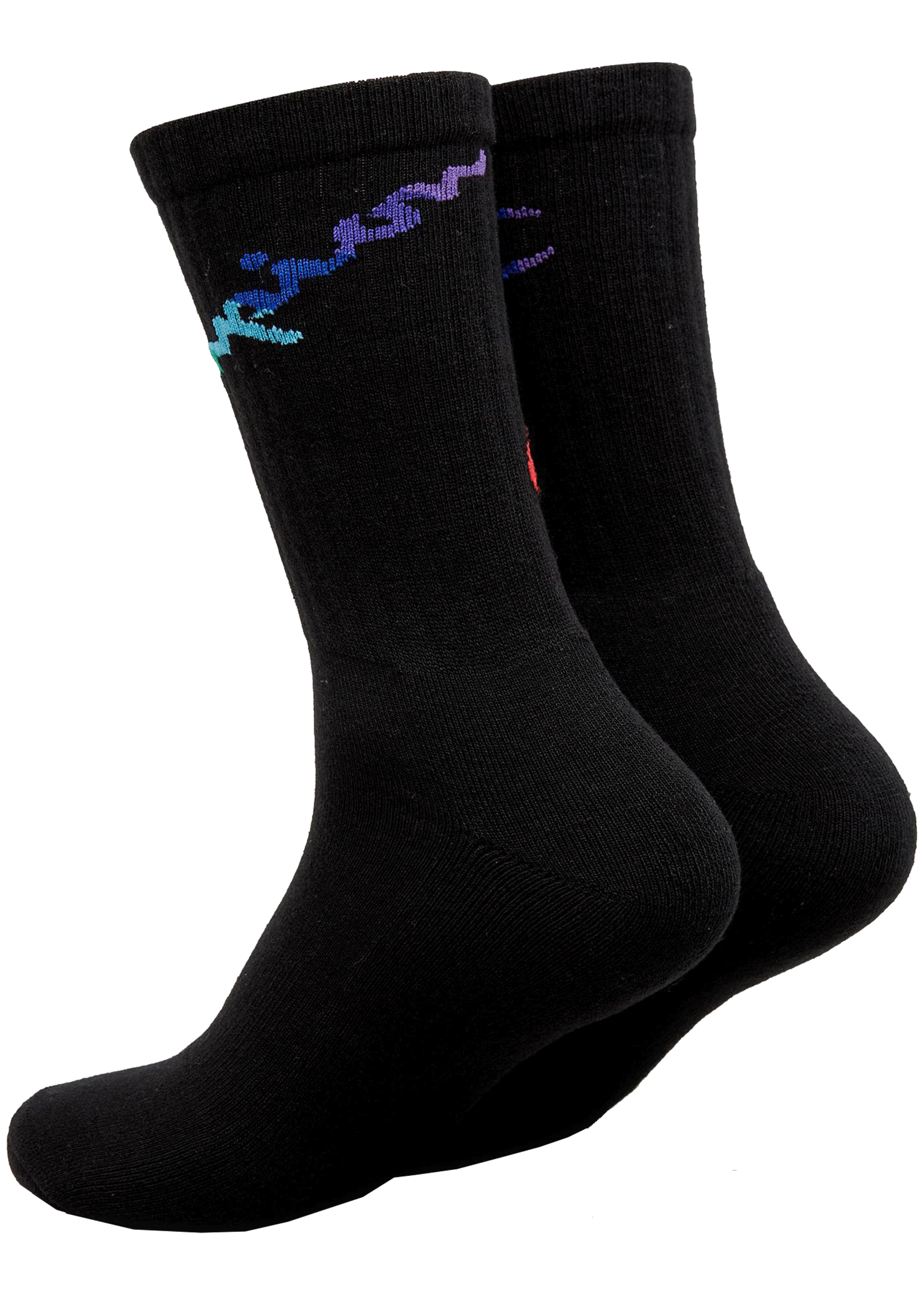 Champion C Logo Pride Crew Socks 2Pack BLK/WIT <br> SXMA2N BLACK
