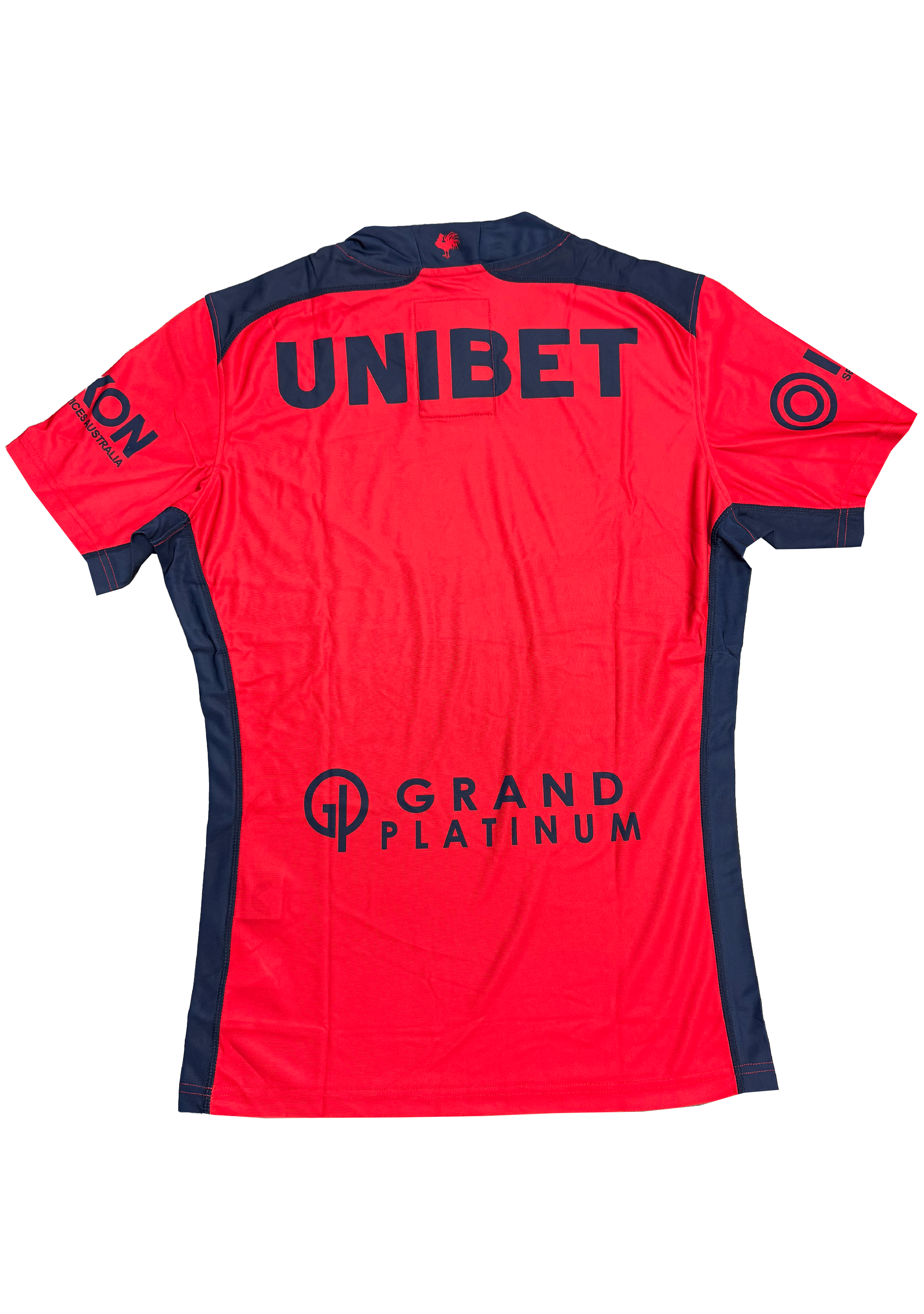 Castore Mens Roosters Training Tee <BR> JCSRTJB