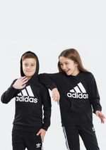 Adidas Junior Essentials Logo Hoodie <br> GN4027