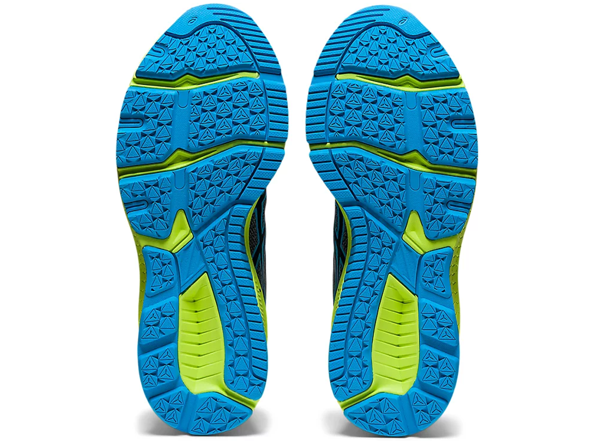 Asics Junior GT-1000 10 GS
