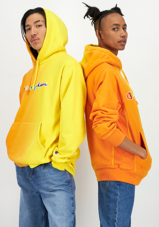 Champion pride hoodie hotsell