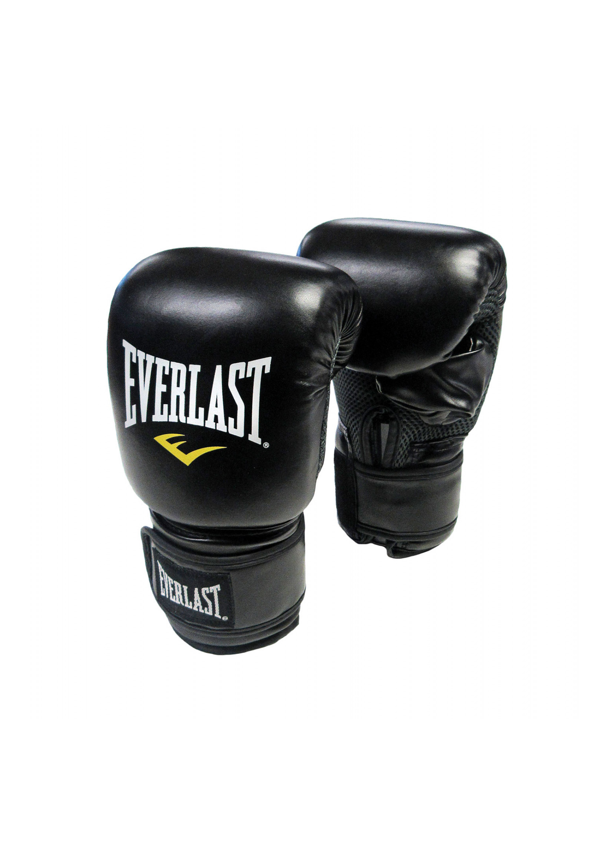 Everlast Punch Bag & Fitness Accessories
