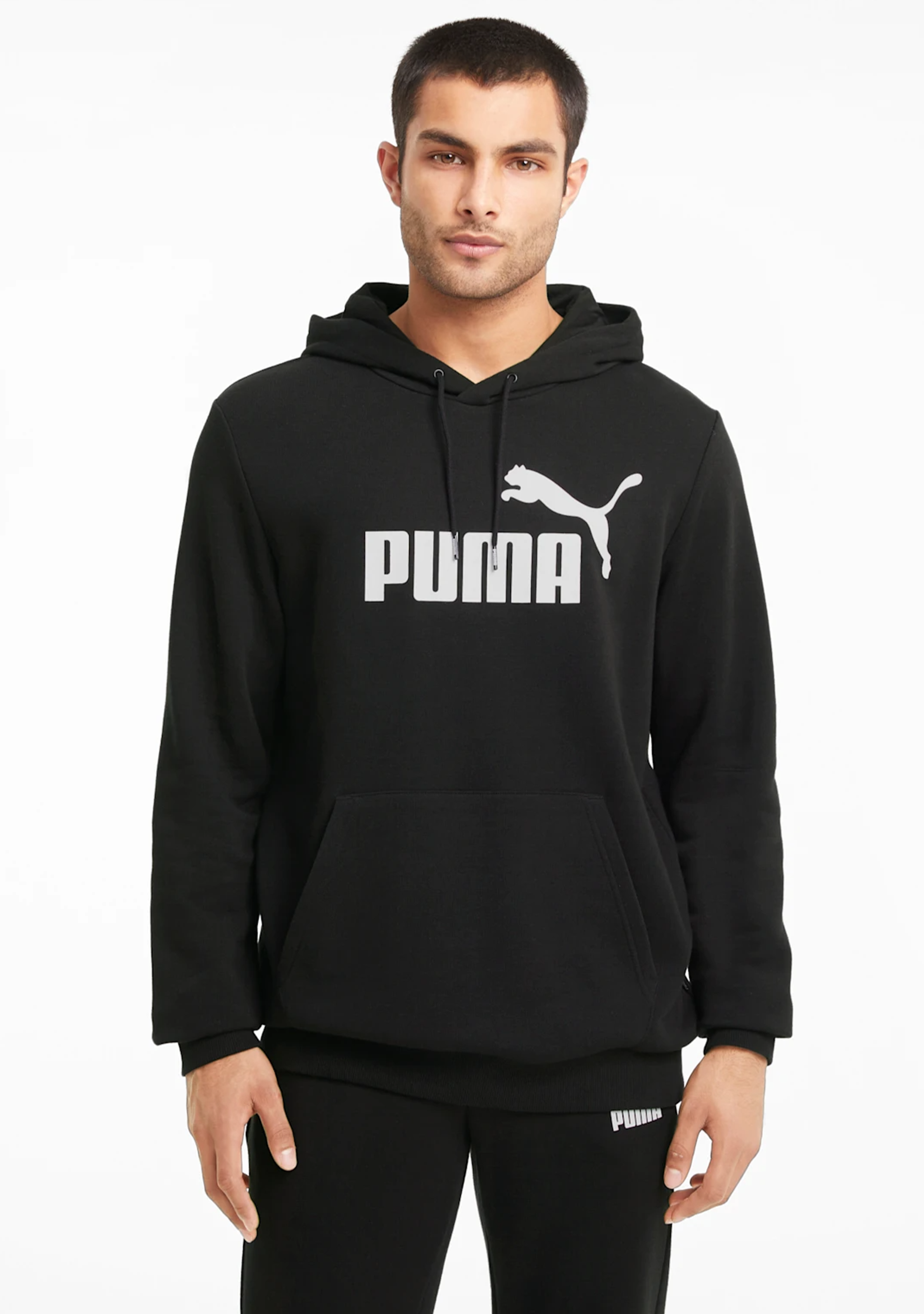 Puma Mens Essentials Big Logo Hoodie 586686 01