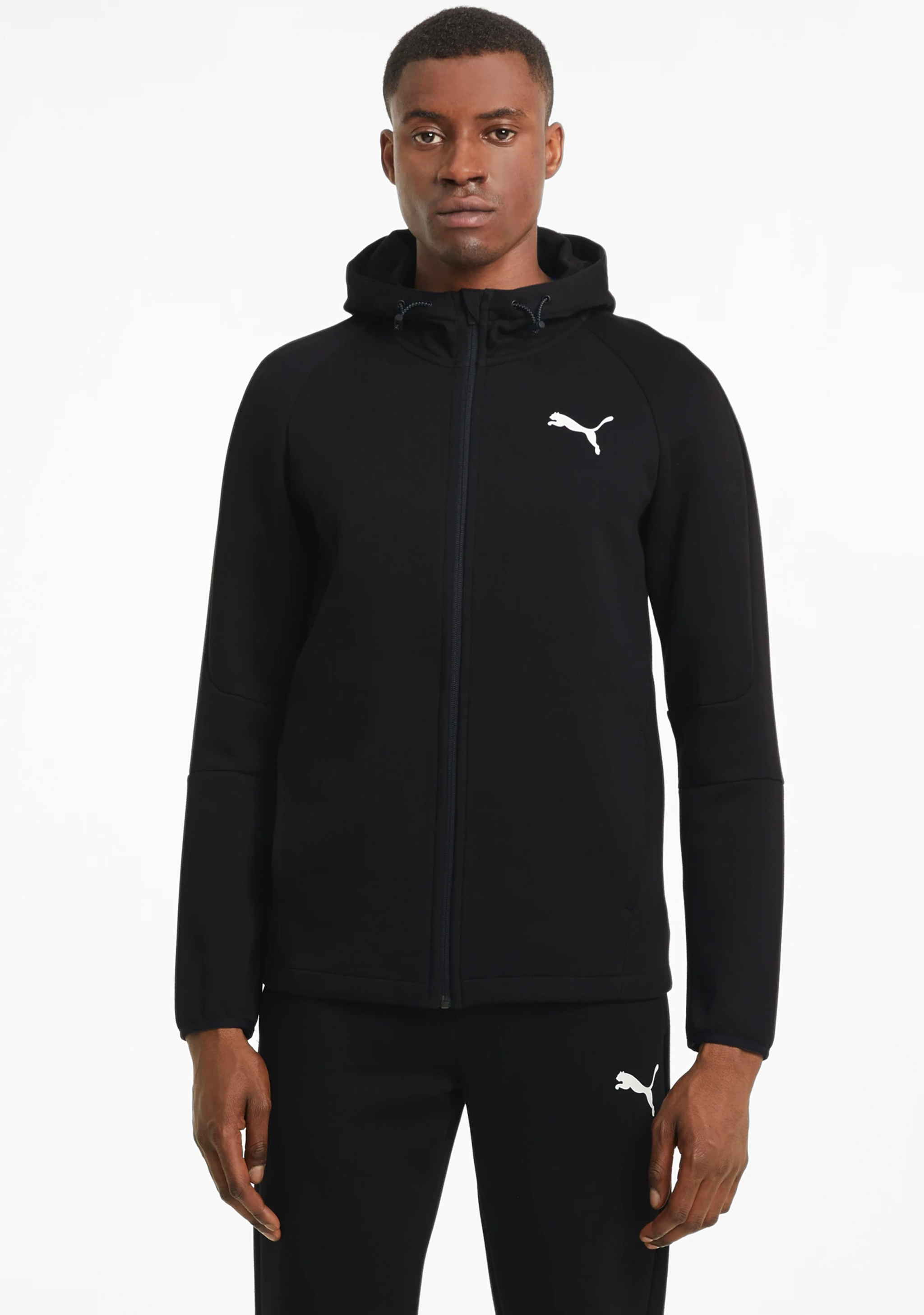 Puma mens evo hoodie online