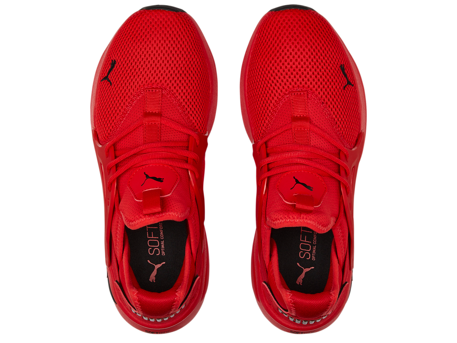 Puma Men s Softride Enzo EVO Jim Kidd Sports