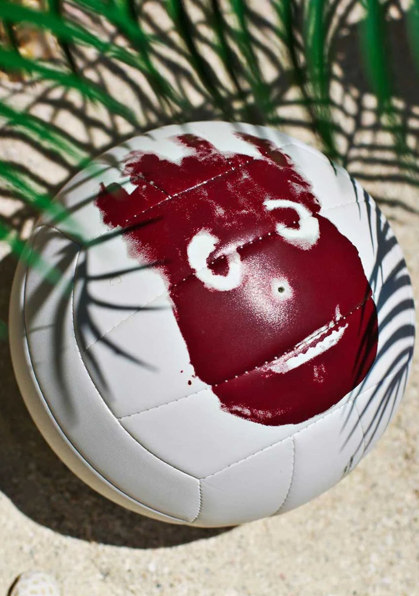 Wilson Volleyball Castaway <br> WTH4615XDEF