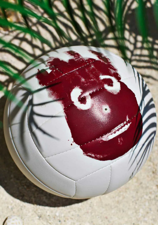Wilson Volleyball Castaway <br> WTH4615XDEF