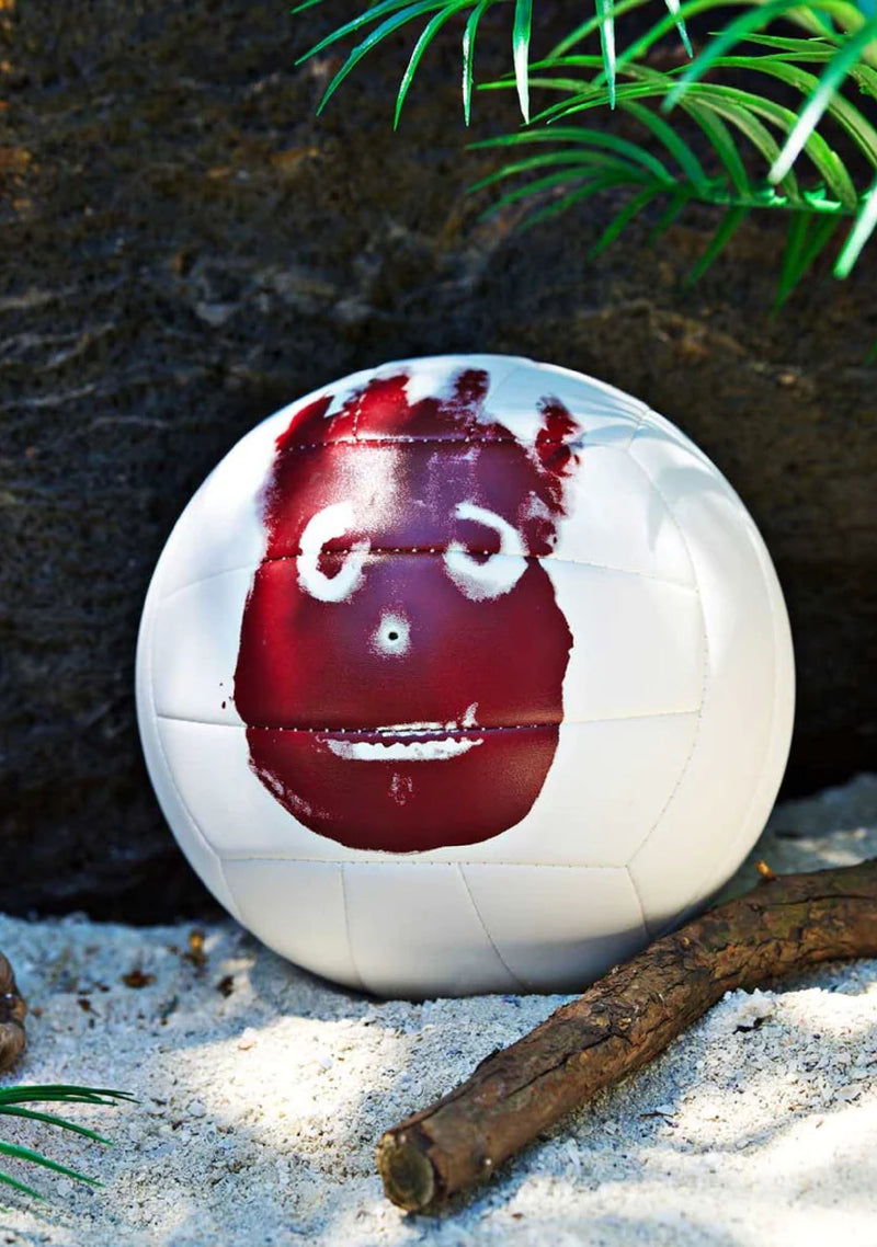 Wilson Volleyball Castaway <br> WTH4615XDEF