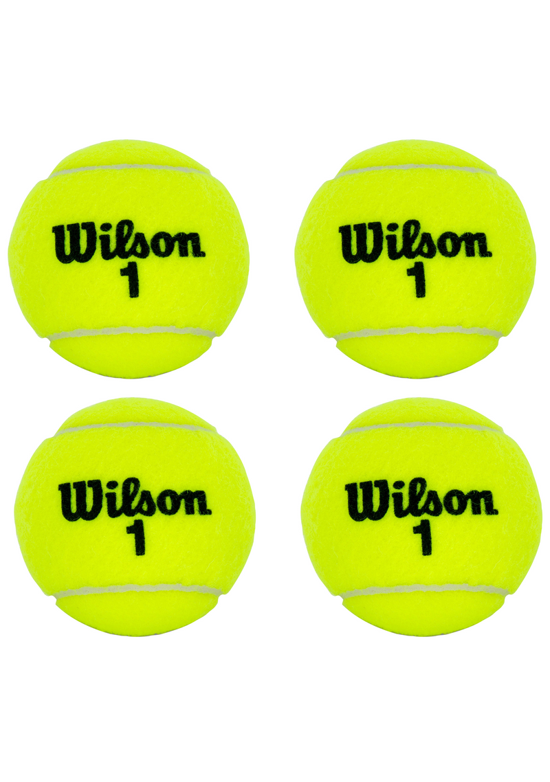 Wilson Championship XD 4 Ball Can <BR> WRT110000