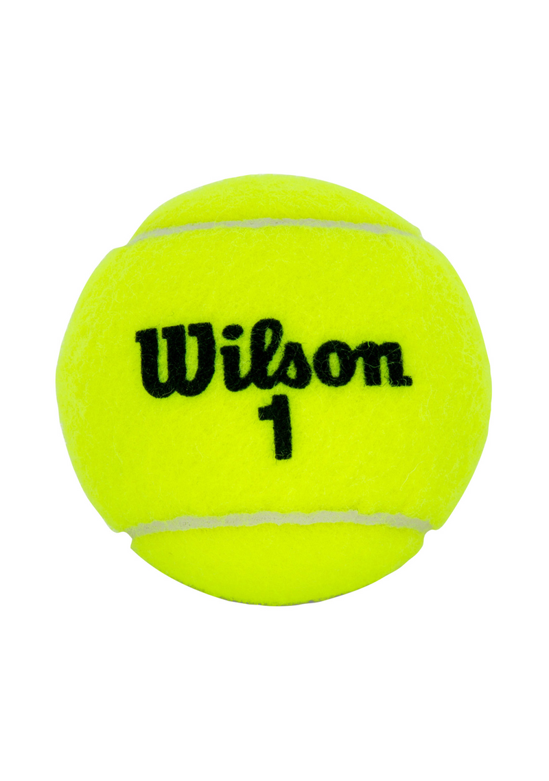 Wilson Championship XD 4 Ball Can <BR> WRT110000